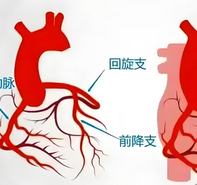 冠狀動(dòng)脈介入手術(shù)控制系統(tǒng)