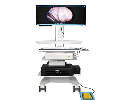 康基胸腹腔內窺鏡 kj-4kicg-fqj1030 廠家